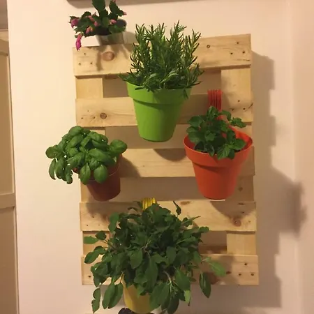 Vucciria Apartment